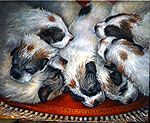 Anna Trubnikov dogs