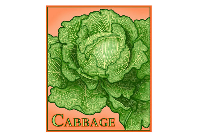 Christine Prapas represents: Fiona King, illustrator