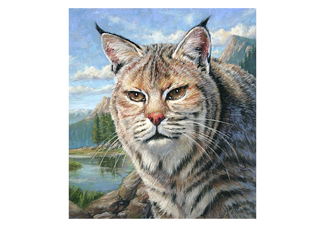 Christine Prapas represents: Ken Tiessen, illustrator